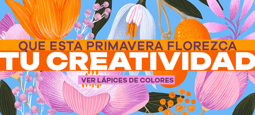 Lápices de colores DSO